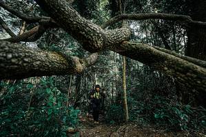 BIB: 
                            <button type="button" onclick="openModal(25706124)" class="btn btn-primary btn-sm float-right btn-popup" data-toggle="modal" data-target=".modal-high-quality">
                        <i class="fas fa-shopping-cart"></i> Add to Cart
                    </button>
                                            <button type="button" onclick="isThisMe(25706124, true)" class="btn btn-success btn-sm float-right btn-popup btn-isme hidden" data-toggle="tooltip" data-placement="bottom" title="นี่คือรูปของคุณใช่ไหม คลิกที่นี่เพื่อเอาเข้าอัลบั้ม">
                        <i class="fas fa-plus"></i> Add to album
                    </button>
                    <button type="button" onclick="isThisMe(25706124, false)" class="btn btn-warning btn-sm float-right btn-popup btn-isnotme hidden">
                        <i class="fas fa-ban"></i> Remove from album
                    </button>